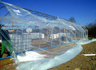 Manafacture PE Material Pre-stretch Perforated UV Resistant Agriculture Film Cover Material and PE Material poly green